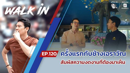 WALK in EP.120 | ครั้งแรกกับช้างเอราวัณ สัมผัสความงดงามที่ต้องมาเห็นด้วยตาตัวเอง