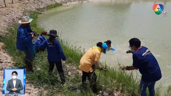 สะเก็ดข่าว : พลาด | BUGABOO.TV - Latest News Updates, Channel 7HD News ...