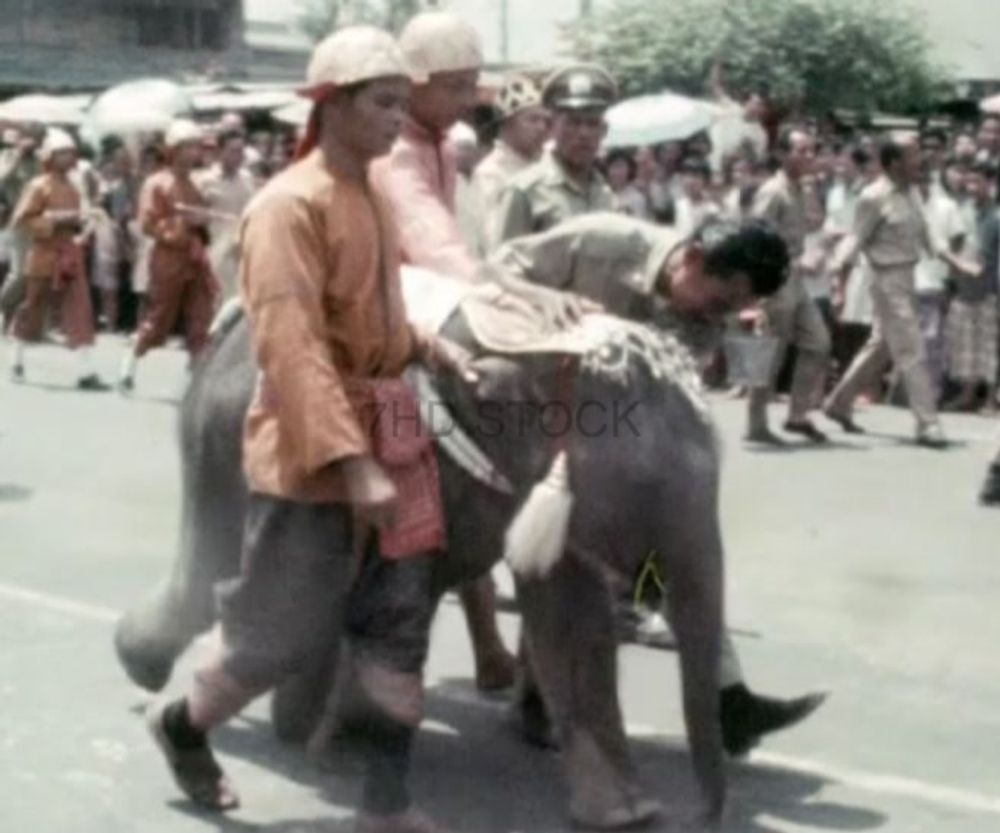 พิธีสมโภชขึ้นระวางพระเศวตสุรคชาธารฯ (12 มี.ค.2511)