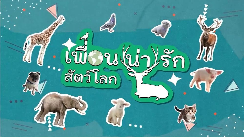 เพื่อนน่ารักสัตว์โลก