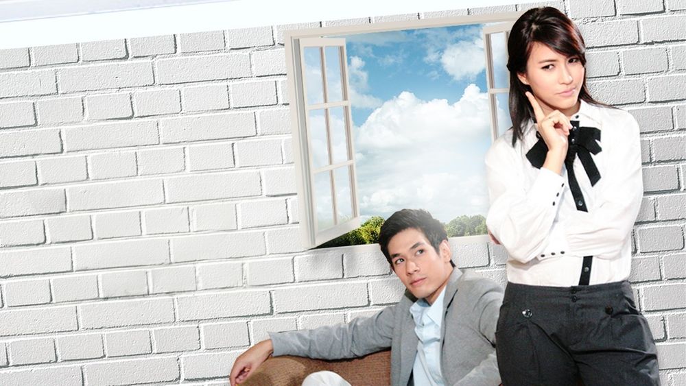 สาวใช้ไฮเทค