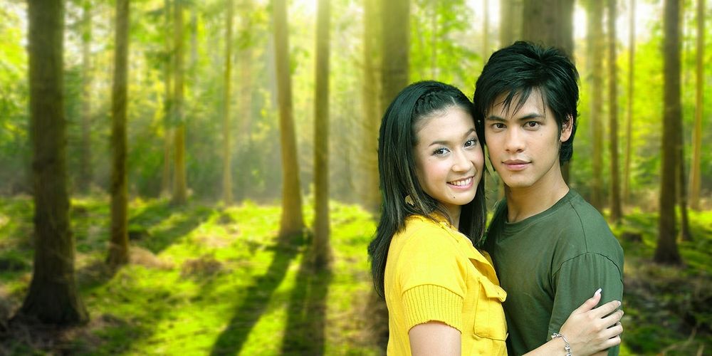 ลูกไม้หลากสี 2548