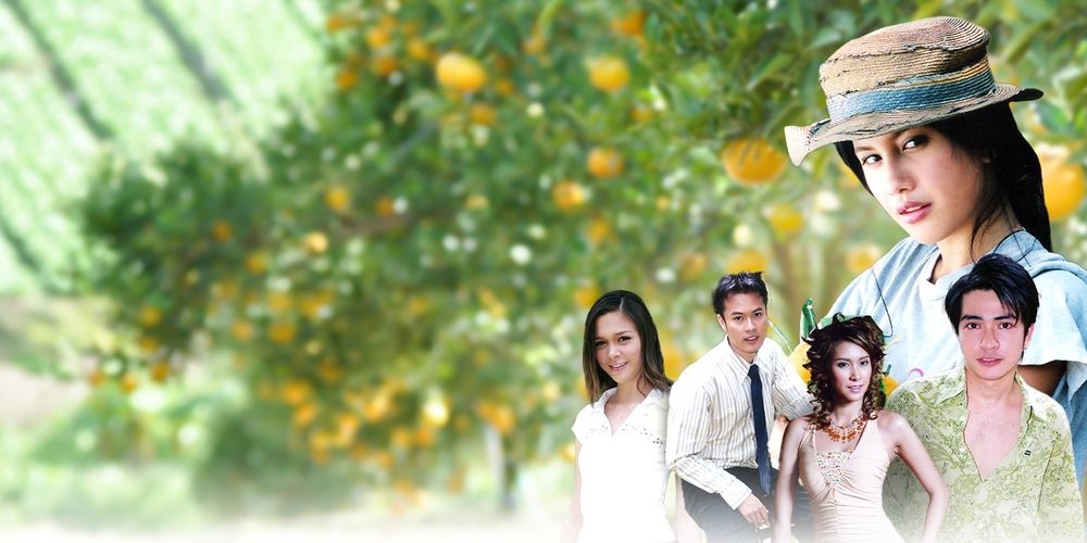 นางสาวส้มหล่น 2548