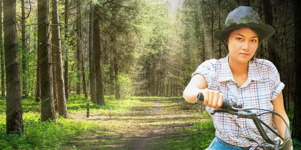 นางแมวป่า