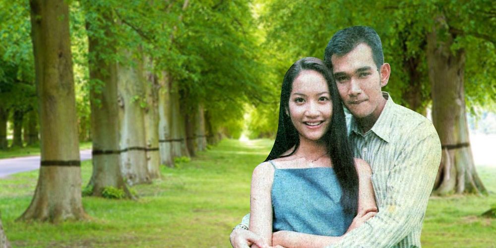 เงาอโศก