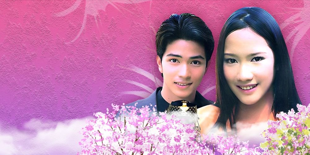 พลับพลึงสีชมพู